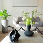 Gallery Thumbnail 20